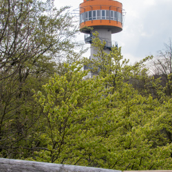 Baumkronenpfad im Hainich