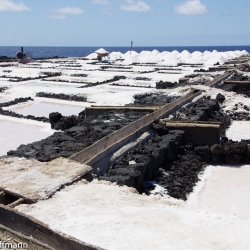 Salzernte in den Salinen von Fuencaliente de la Palma