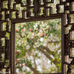 Garten des bescheidenen Beamten in Suzhou