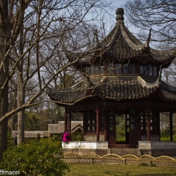 Pavillon im Garten des bescheidenen Beamten in Suzhou