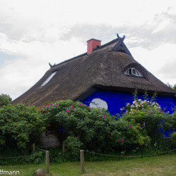 Hiddensee - Blaue Scheune