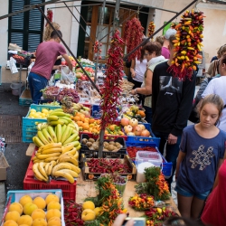 Wochenmarkt Sineu
