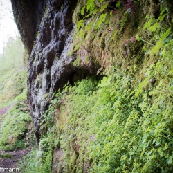 Felswand in der Drachenschlucht