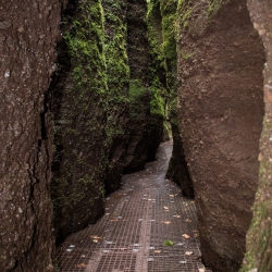 Drachenschlucht bei Eisenach