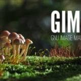 Gimp 2.10