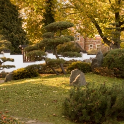 Japanischer Garten - Bad Langensalza