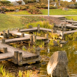 Japanischer Garten - Bad Langensalza