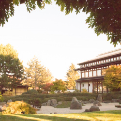 Japanischer Garten - Bad Langensalza