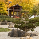 Japanischer Garten - Bad Langensalza
